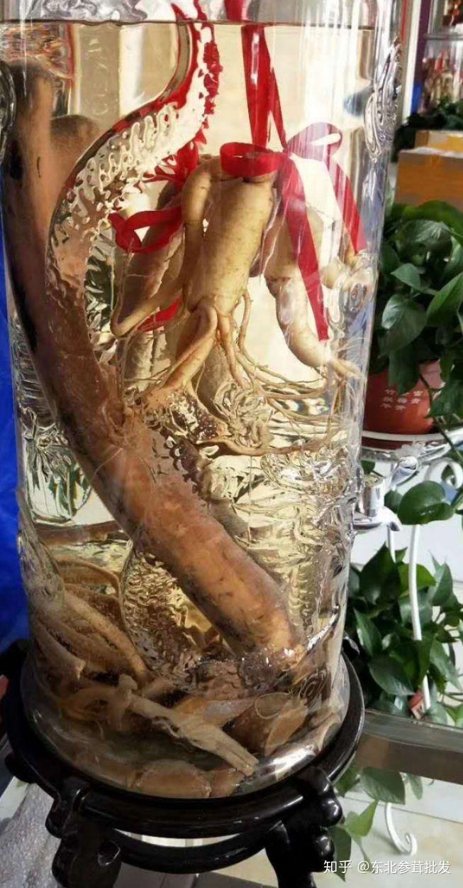 干鹿鞭怎么泡酒才能壮阳?最好与什么药材一起泡? - 知乎