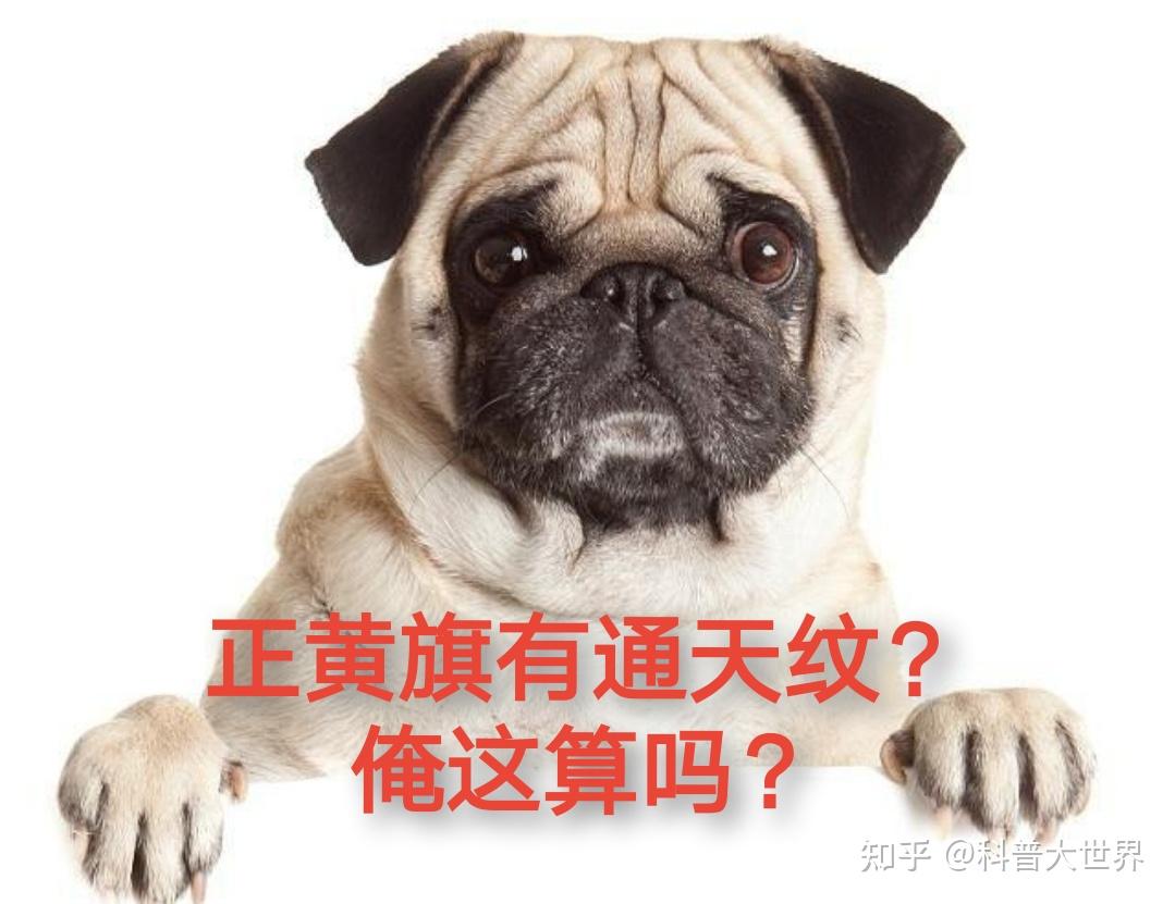 正黄旗的通天纹长什么样