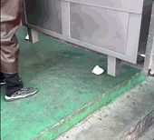 网友用冬瓜片垫底滑行搬运700KG大型机器，丝滑平移还能扛住巨压，冬瓜为什么这么厉害？