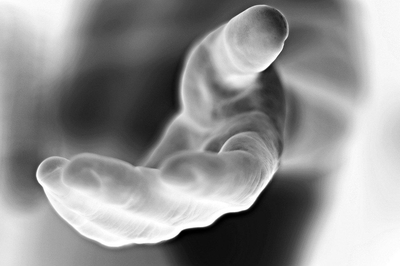 1. 层高空间拓展