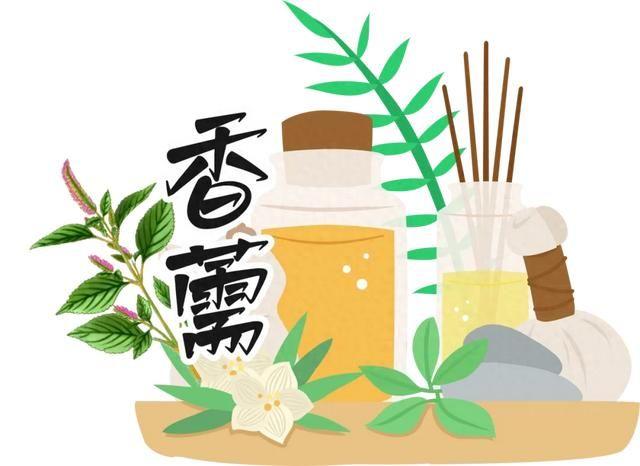 本草纲目故事香薷利水消肿