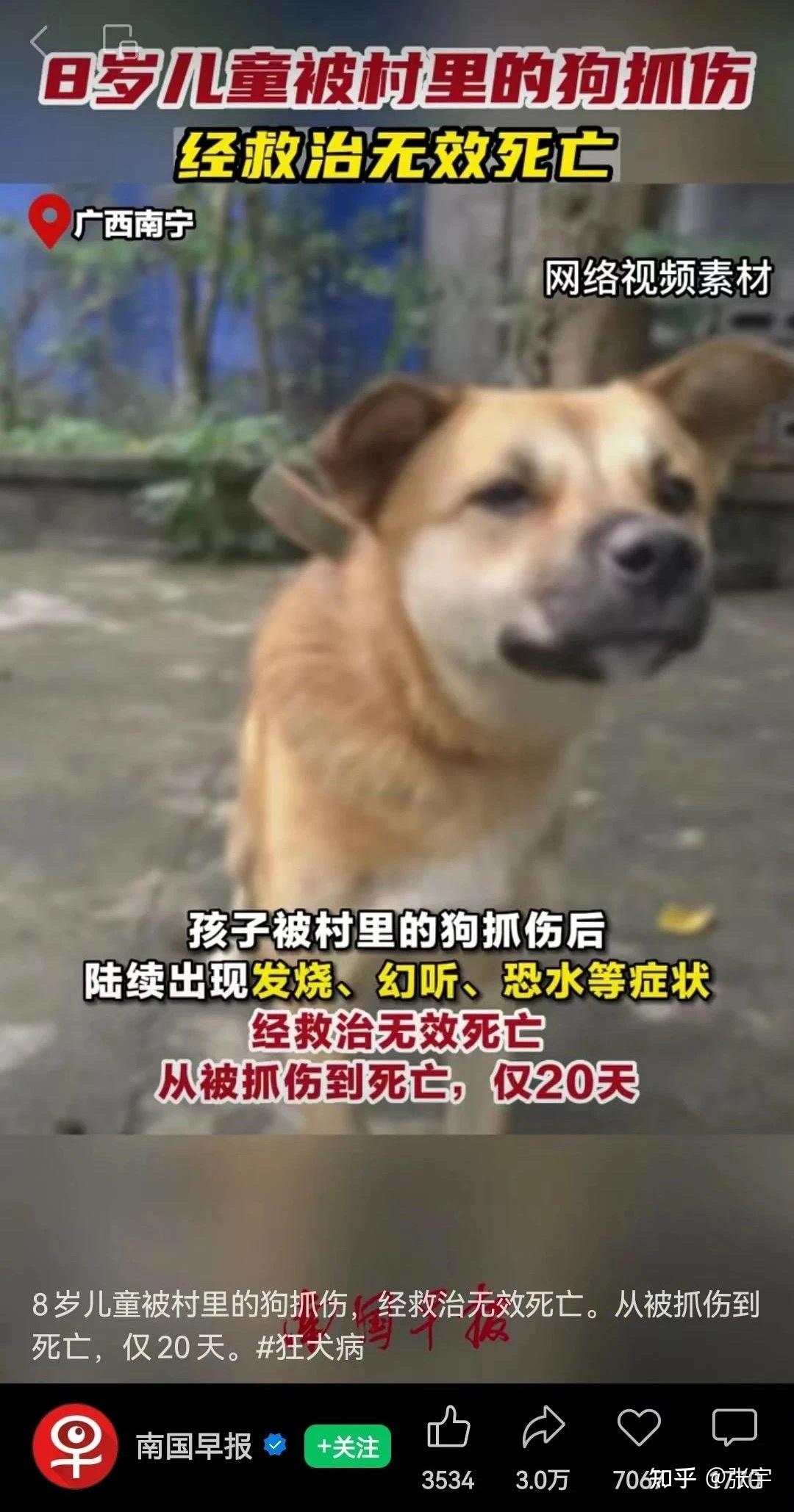 被狗咬了第一时间该怎么办? - 知乎
