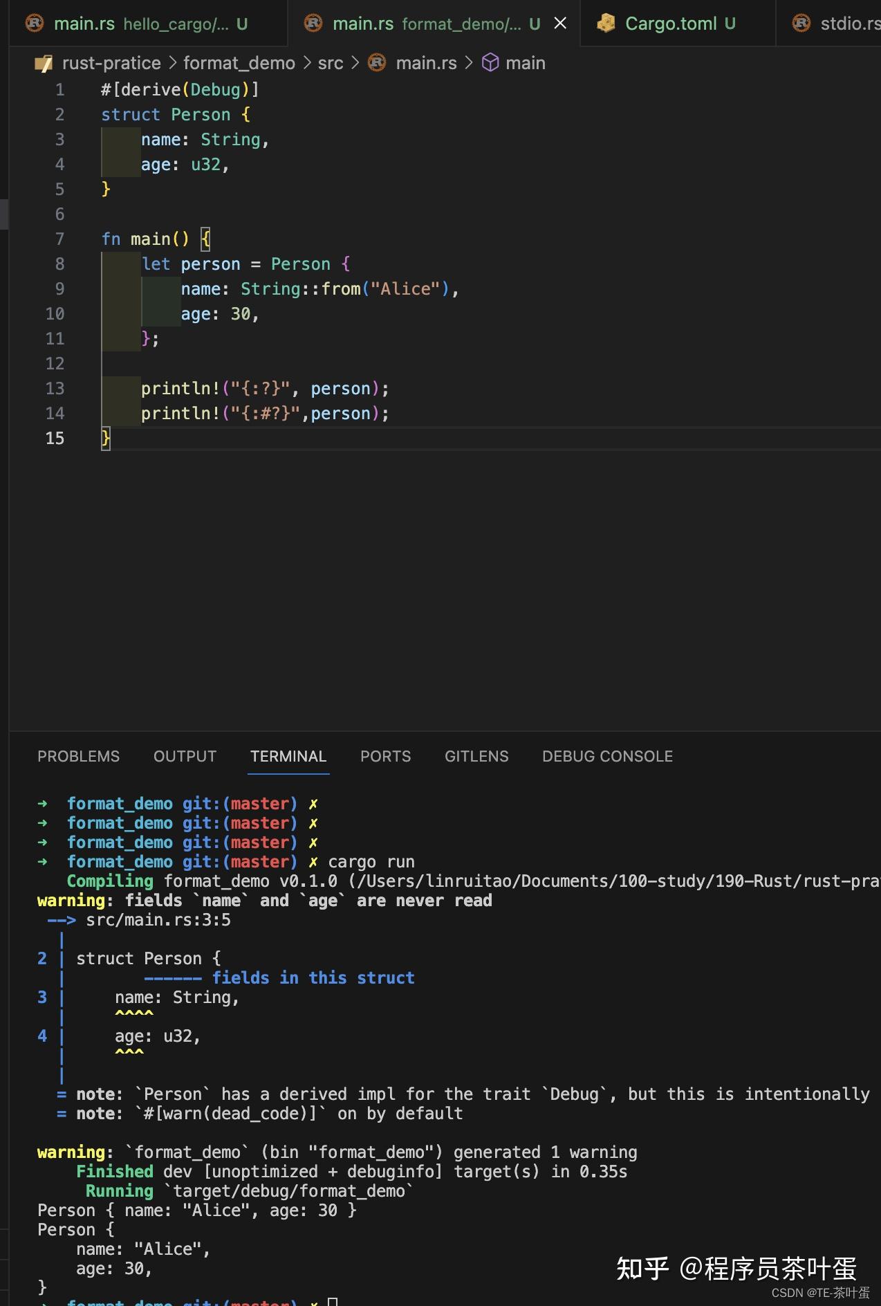 rust中实现类似于js中eval的功能，执行文本格式的代码? - 知乎