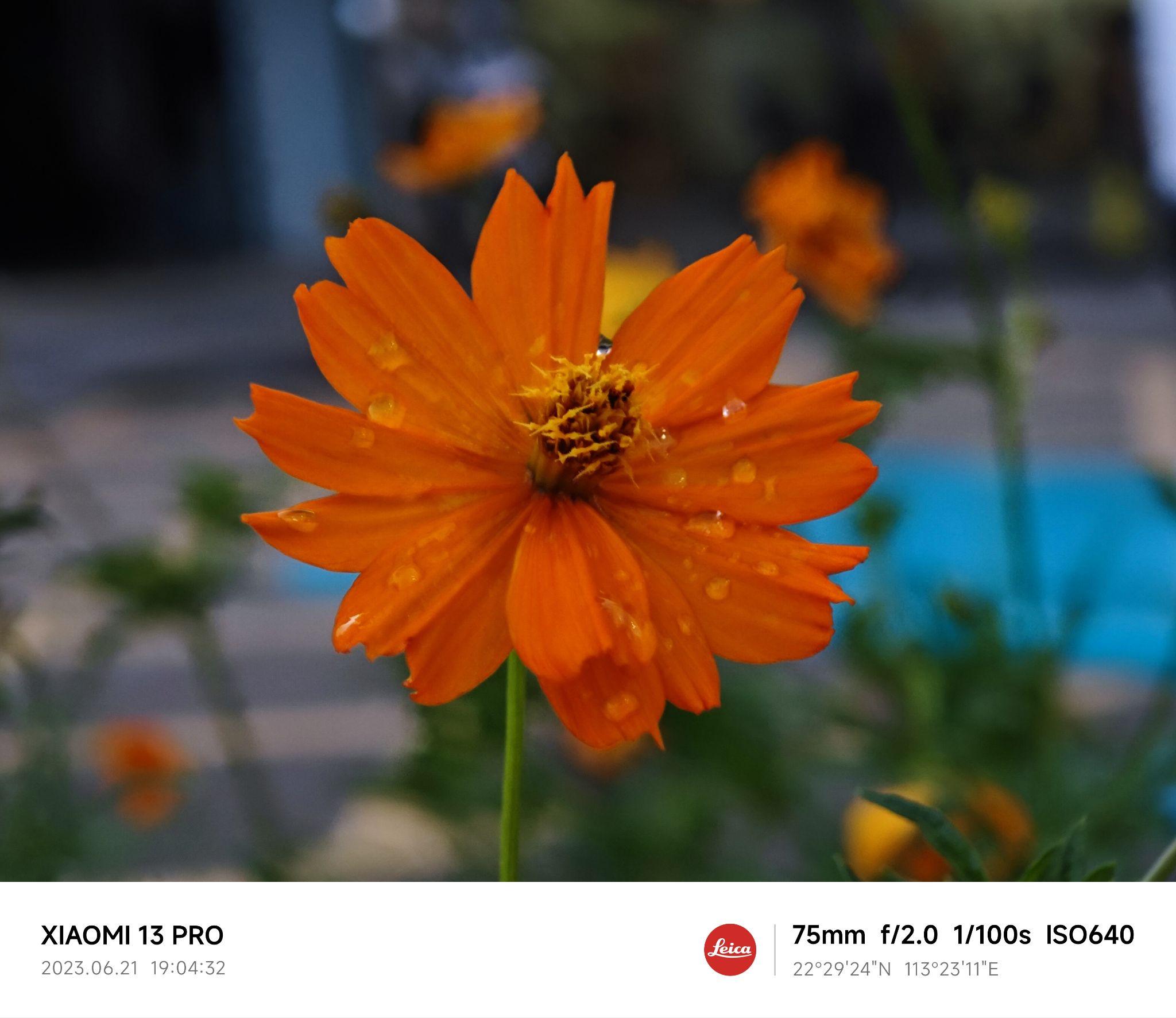 一直用手机拍照,要不要入一个相机?