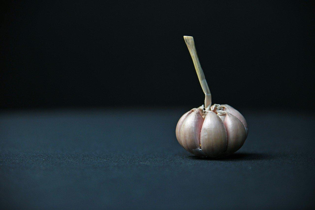 3. 土壤选择与改良