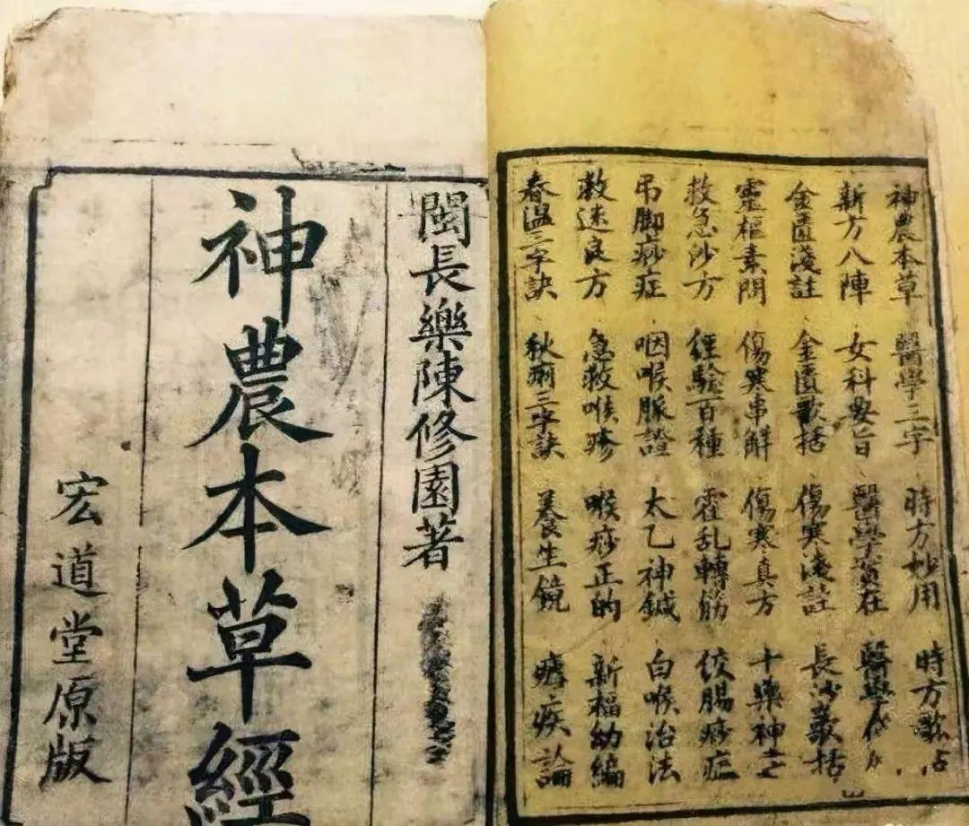 茶疗中以茶入药的历史渊源：从神农尝草到现代妙用 - 知乎