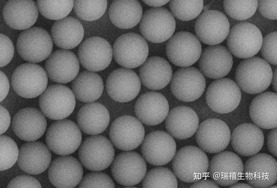 载电荷/离子修饰/稀土杂化表面/空心玻璃微球表面接枝聚苯乙烯微球的研究 - 知乎