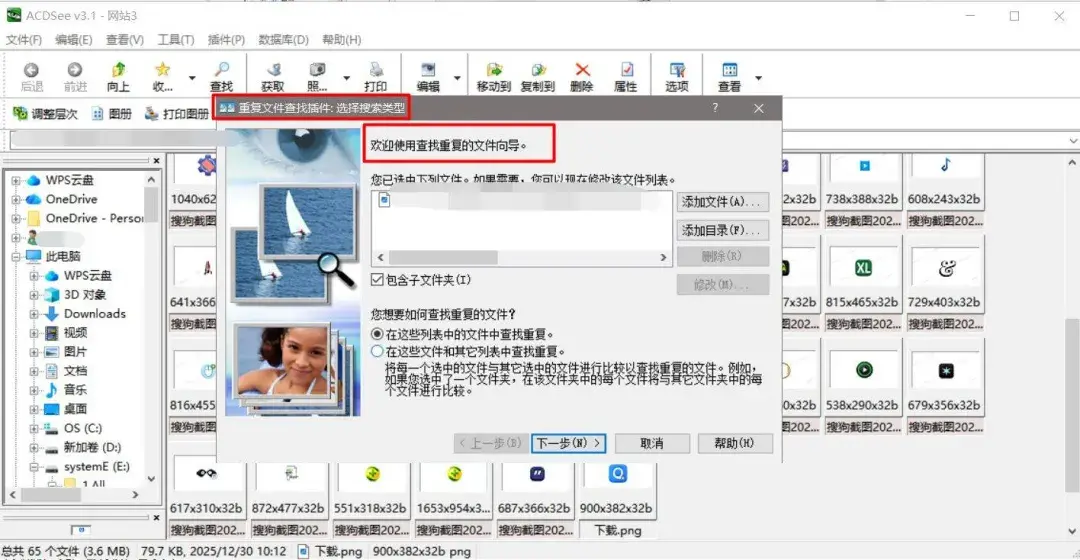 ACDSee 看图最终美化版:高速看图 + 基础修图 + 批量处理 v3.1 SR1-第5张图片-IT技术视界