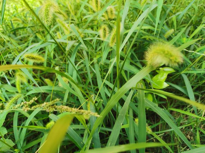 《颜氏家训·风操篇》中的处世金句 - 知乎