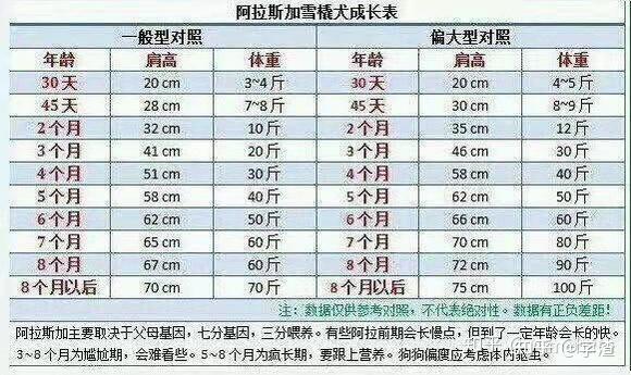 俩个多月的阿拉斯加多重