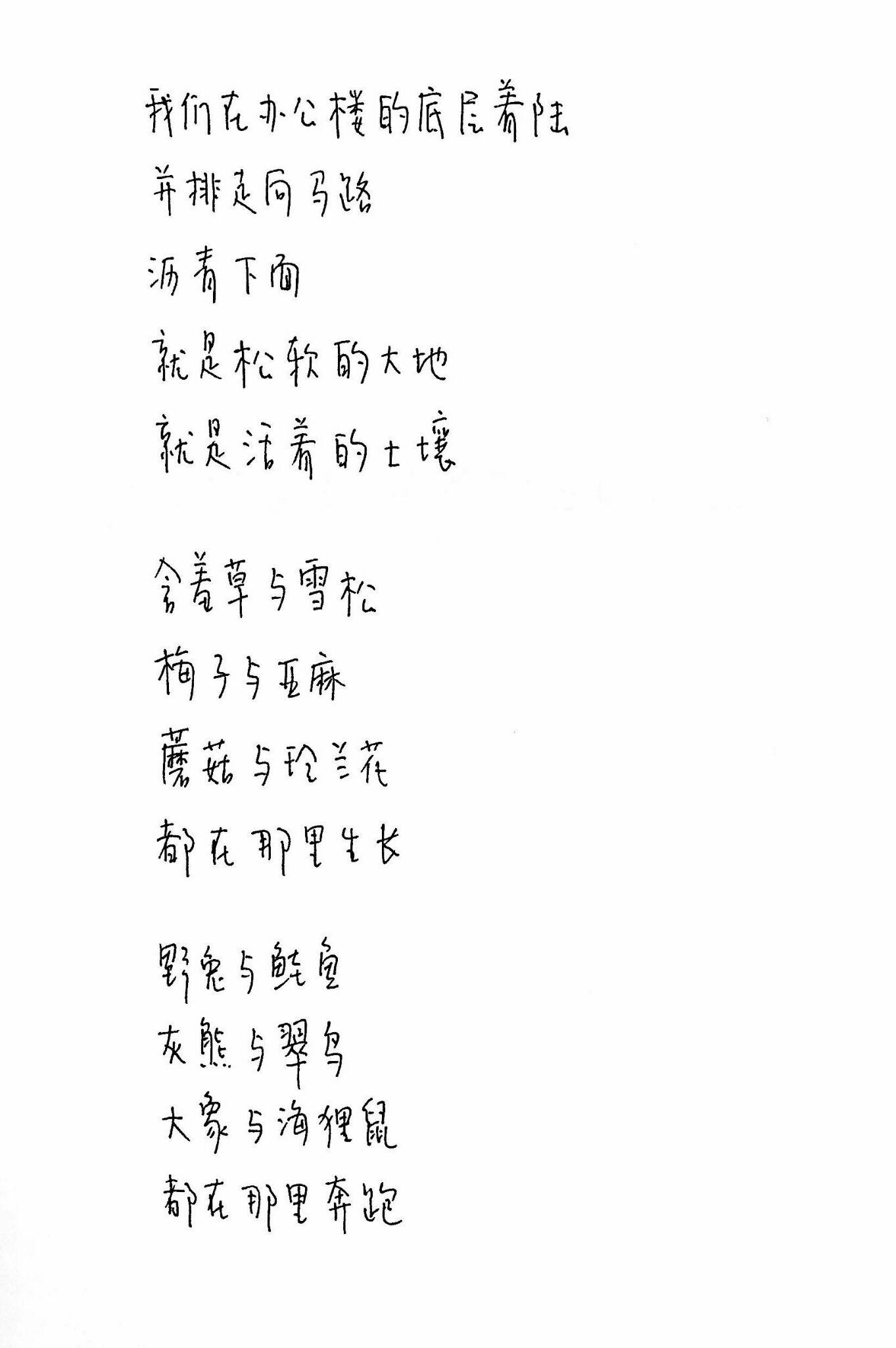 你觉得最美的三行诗？ - 知乎