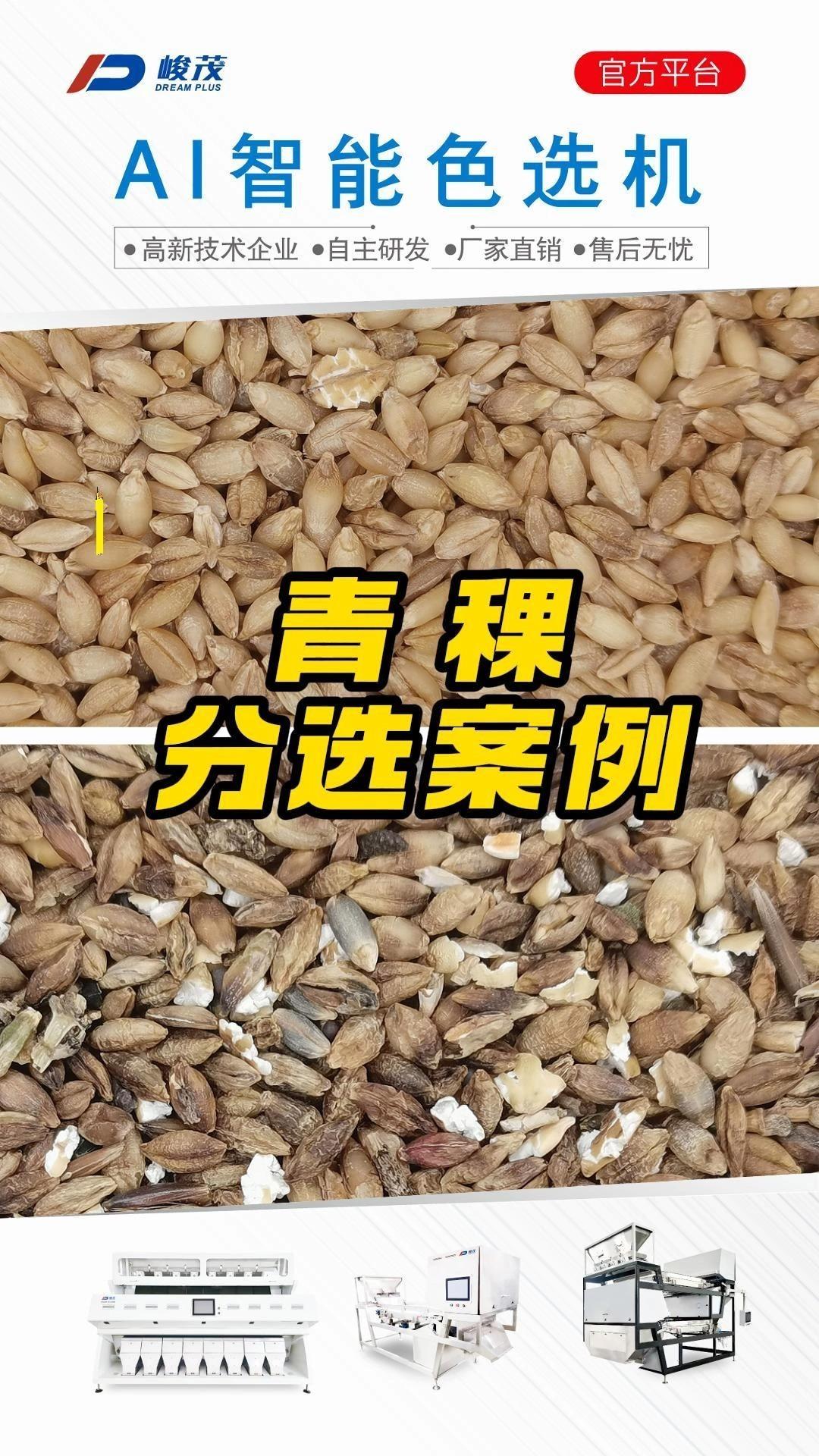 作为膳食纤维的青稞是如何提高品质的?青稞色选机分选蓝青稞白青稞异色粒、霉色粒、石子、草籽、秸秆等杂质,颜色均匀,高精度设备选出高品质。 - 知乎