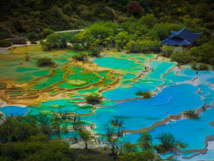 圣地仙境人间瑶池”黄龙第四届高山蓝花节盛大开幕- 知乎