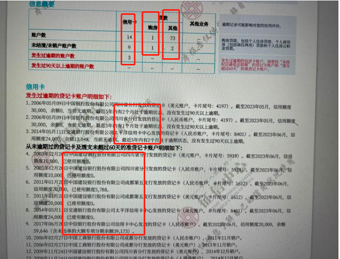 请专业人士帮我看看这个征信能办车贷吗