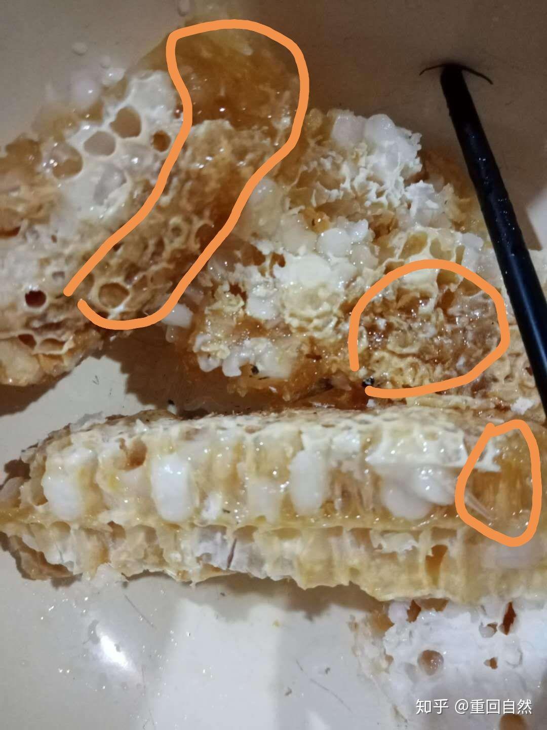 蜂巢里有白色的固体有谁知道是什么吗