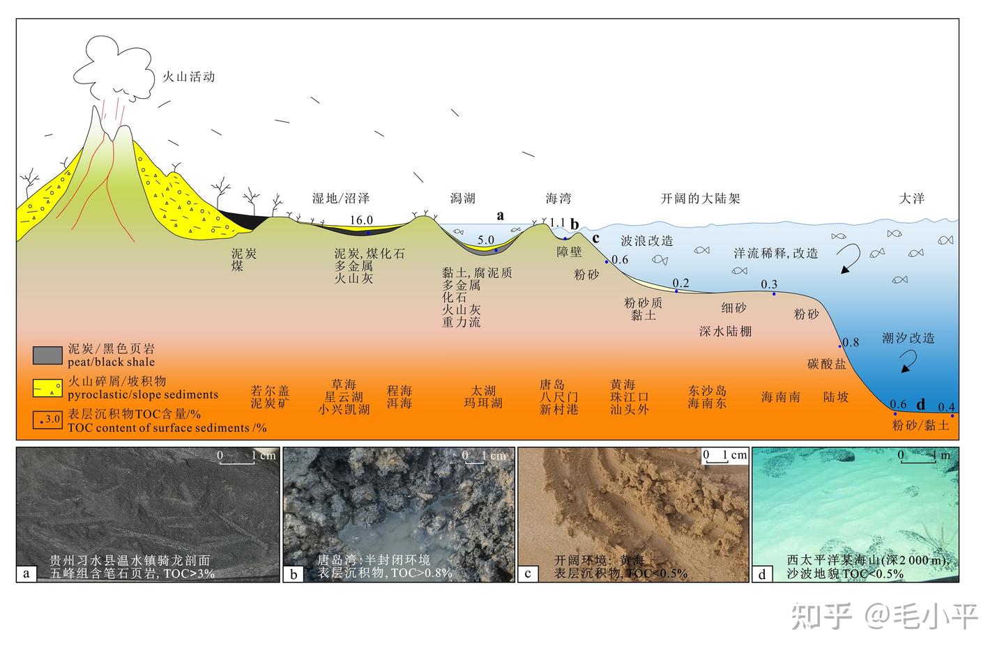地学幸存者效应- 地质学新思维- 知乎
