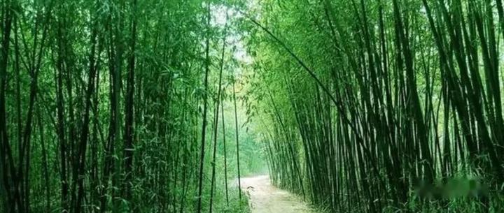 手术时，病人赤裸身体会冷吗？ 知乎 