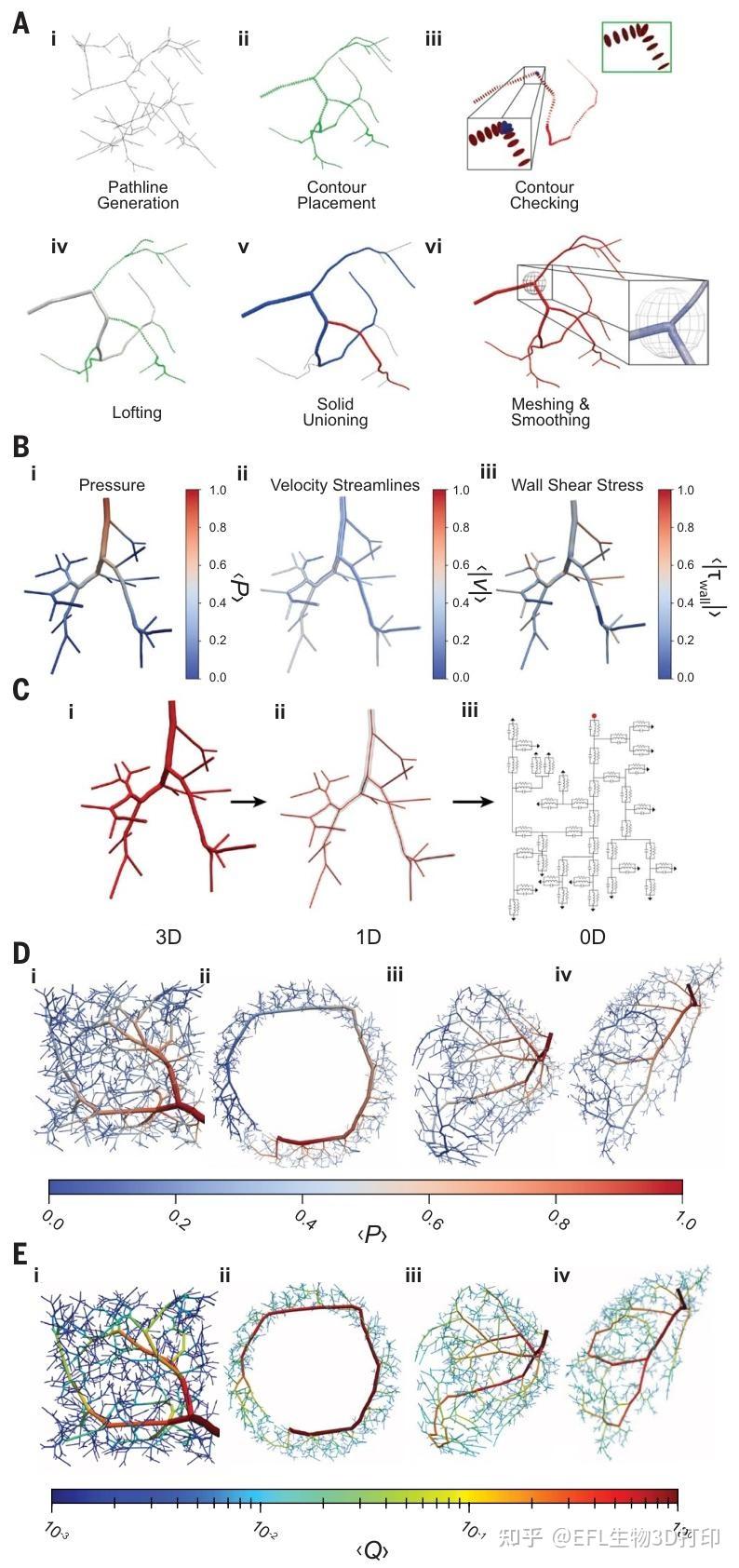 3D打印6月最新Science:心脏血管网络快速成型技术 - 知乎