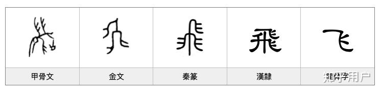 飛和飞到底是什么字? - 知乎