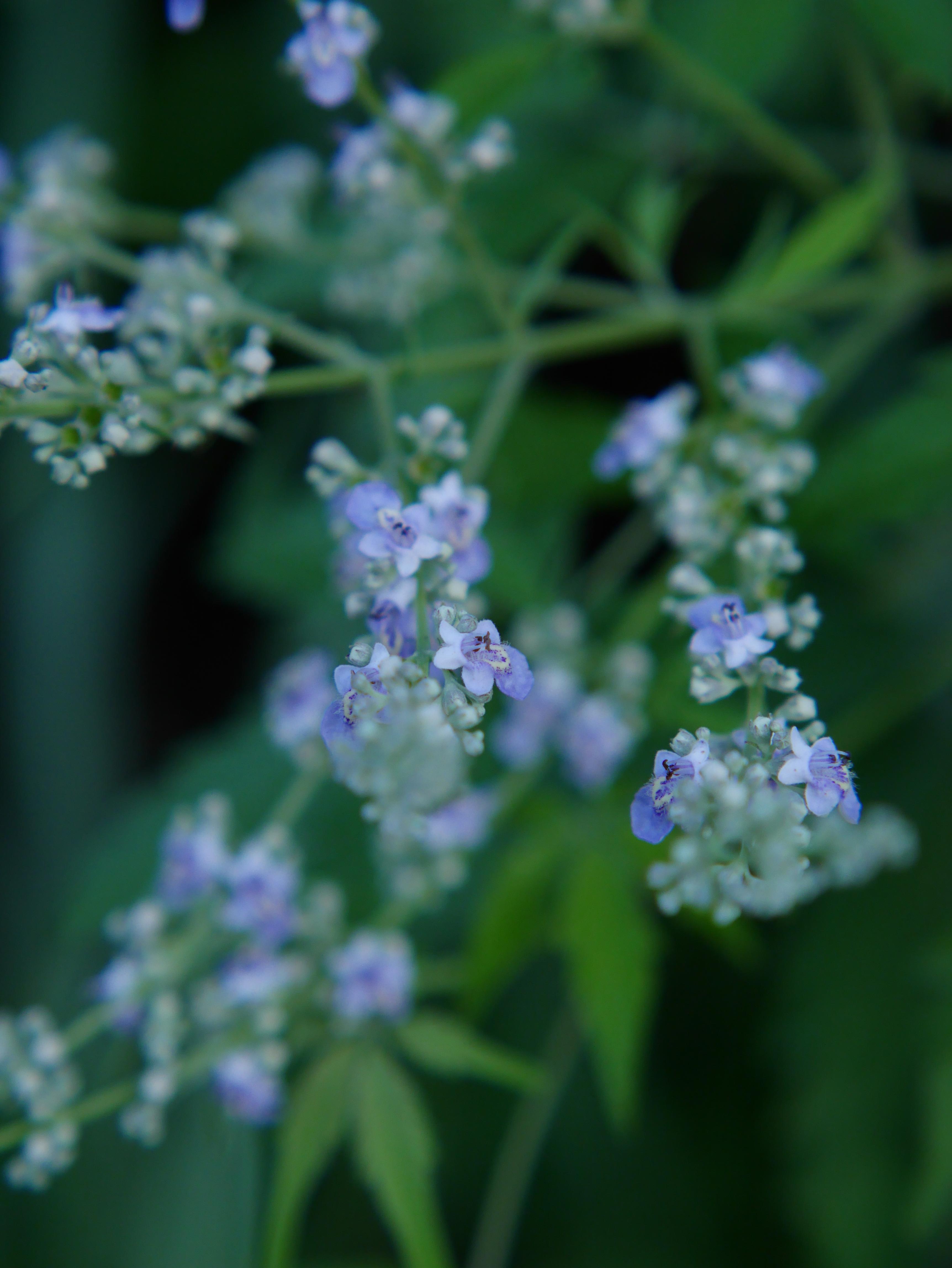 相机1600万像素拍出来的照片是什么样的?