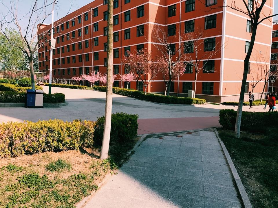 你认为哈尔滨理工大学荣成校区是一所什么样的学校