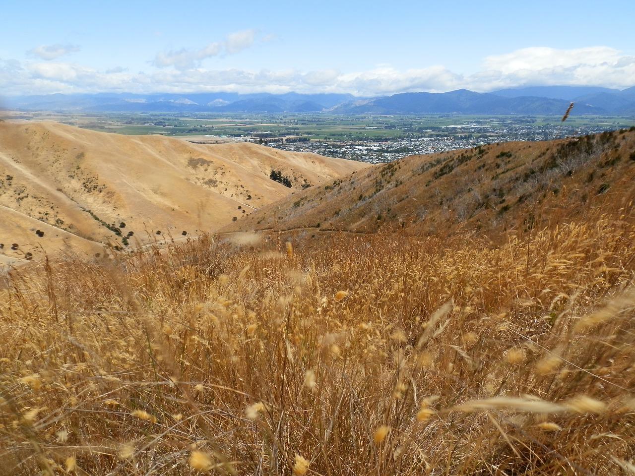 新西兰水果镇叫什么