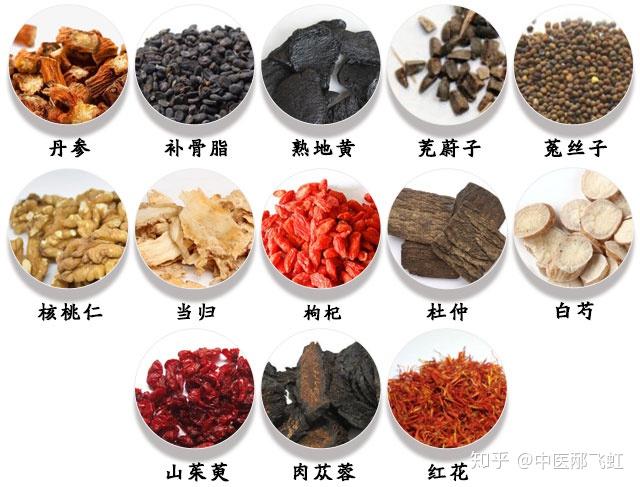 丹参的功效虽然多,但你知道它的食用禁忌和方法吗? - 知乎