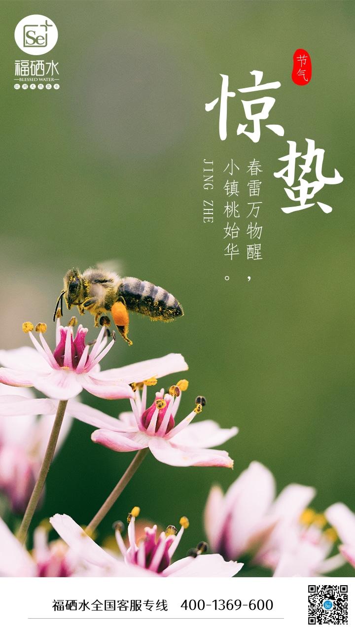 发布于 2021-03-05 09:42惊蛰惊蛰是什么意思?