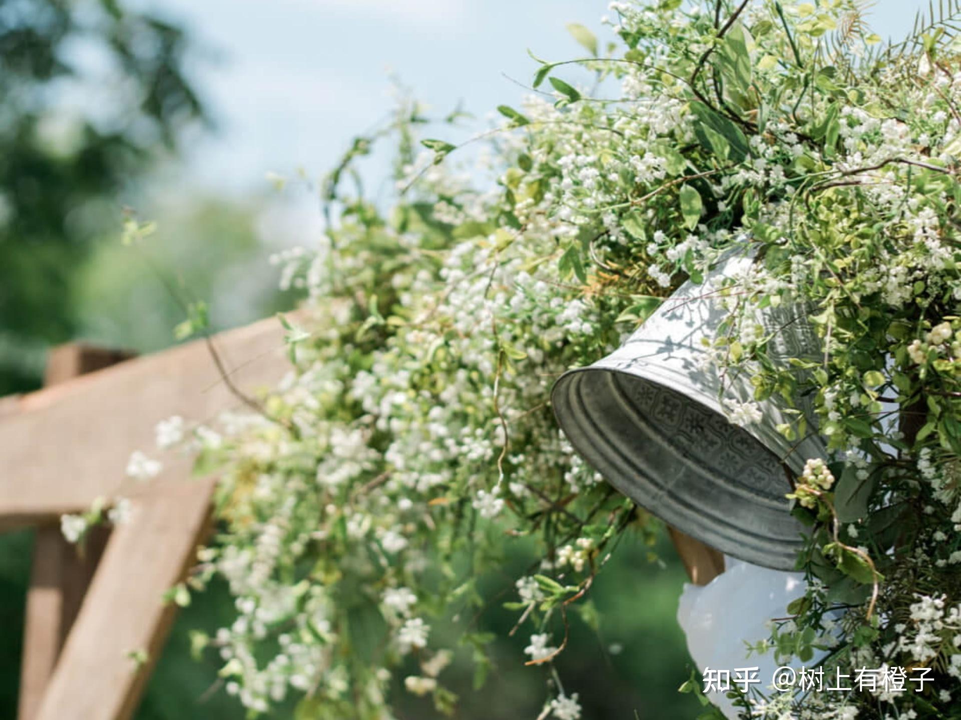 文艺温柔的短句,有意境的绝美文案?