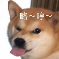 Zhihu profile picture for @dildo
