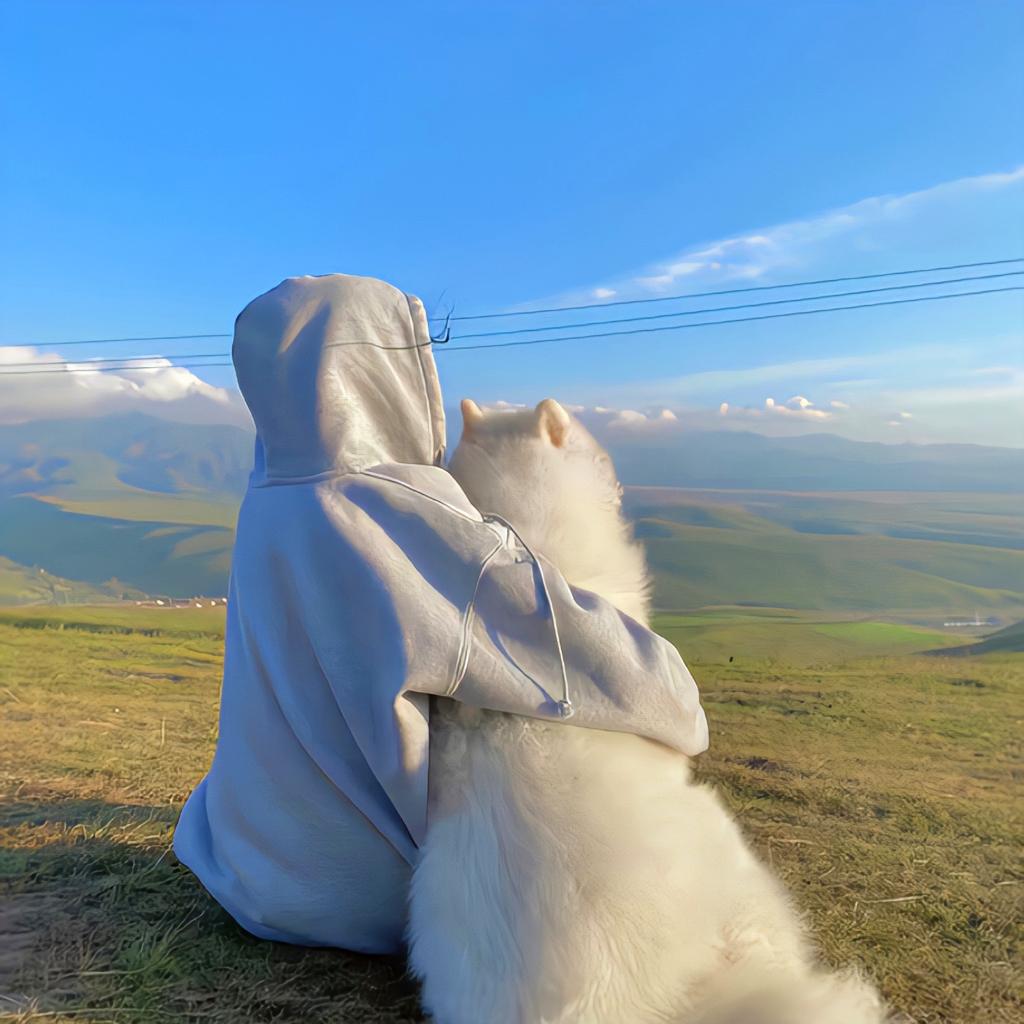 有哪些微信头像让人看到感觉心情好? - 知乎