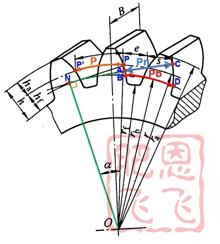 直齿圆柱齿轮的齿距p,法向齿距pn和基圆齿距pb之间的关系