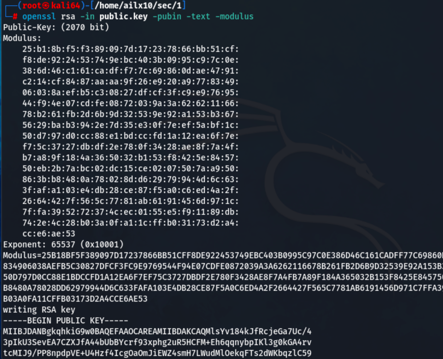 CTF（Capture The Flag）密码学高级- 知乎