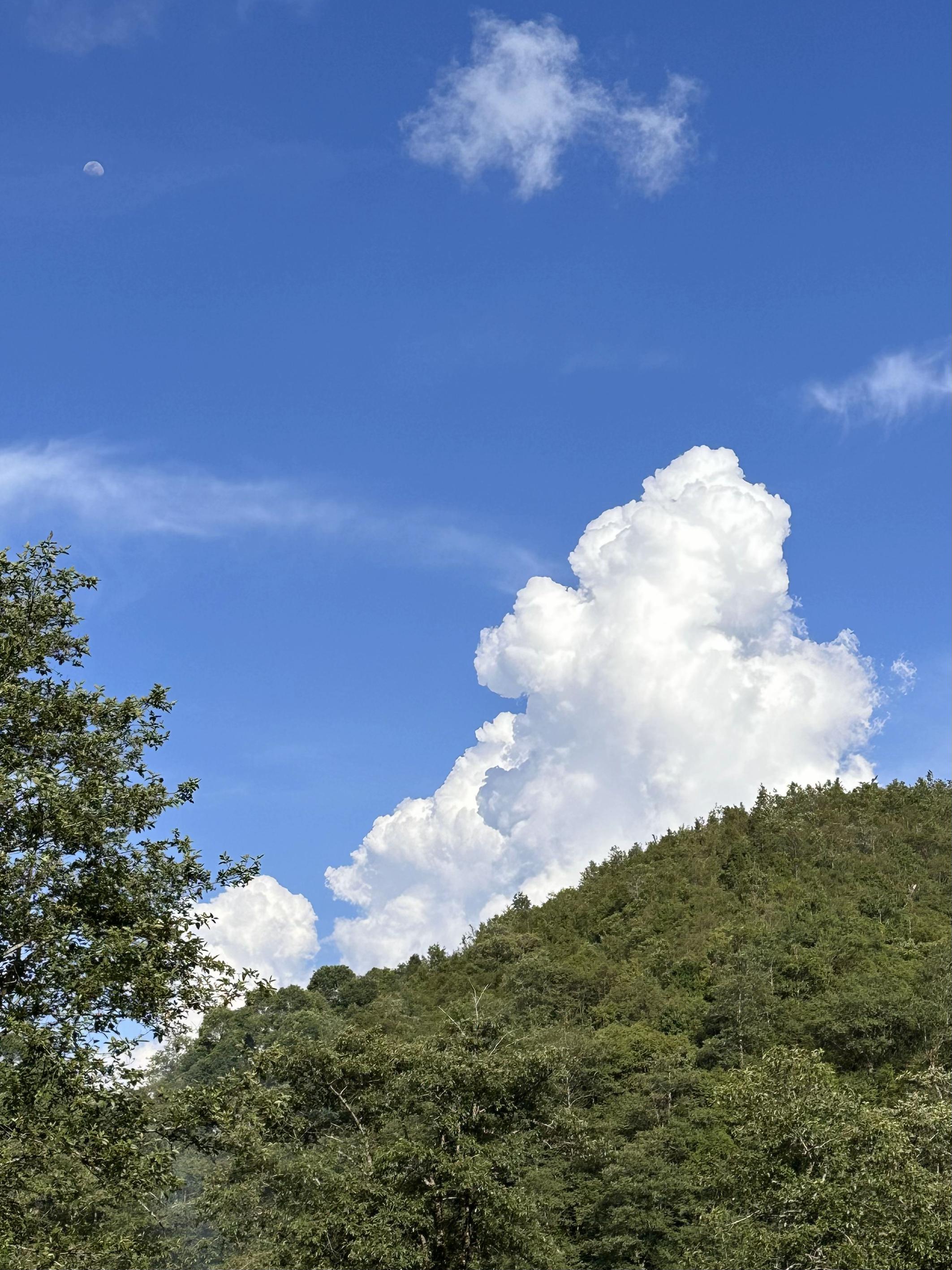 可以分享一下你相册里的小云朵吗