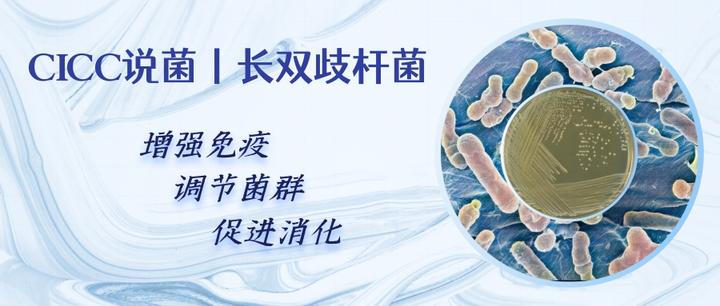 CICC说菌丨长双歧杆菌 - 知乎