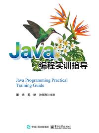 Java 编程实训指导