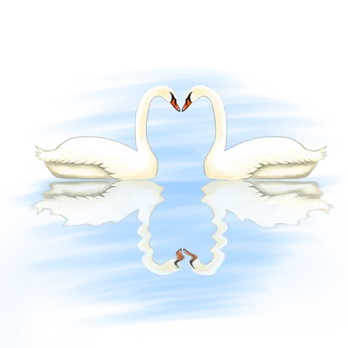 心理自助：6种情感支持方法，建立健康亲密关系 - 知乎