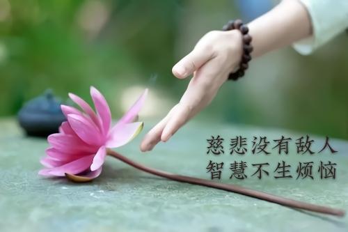 关于宽容的名人名言 - 知乎