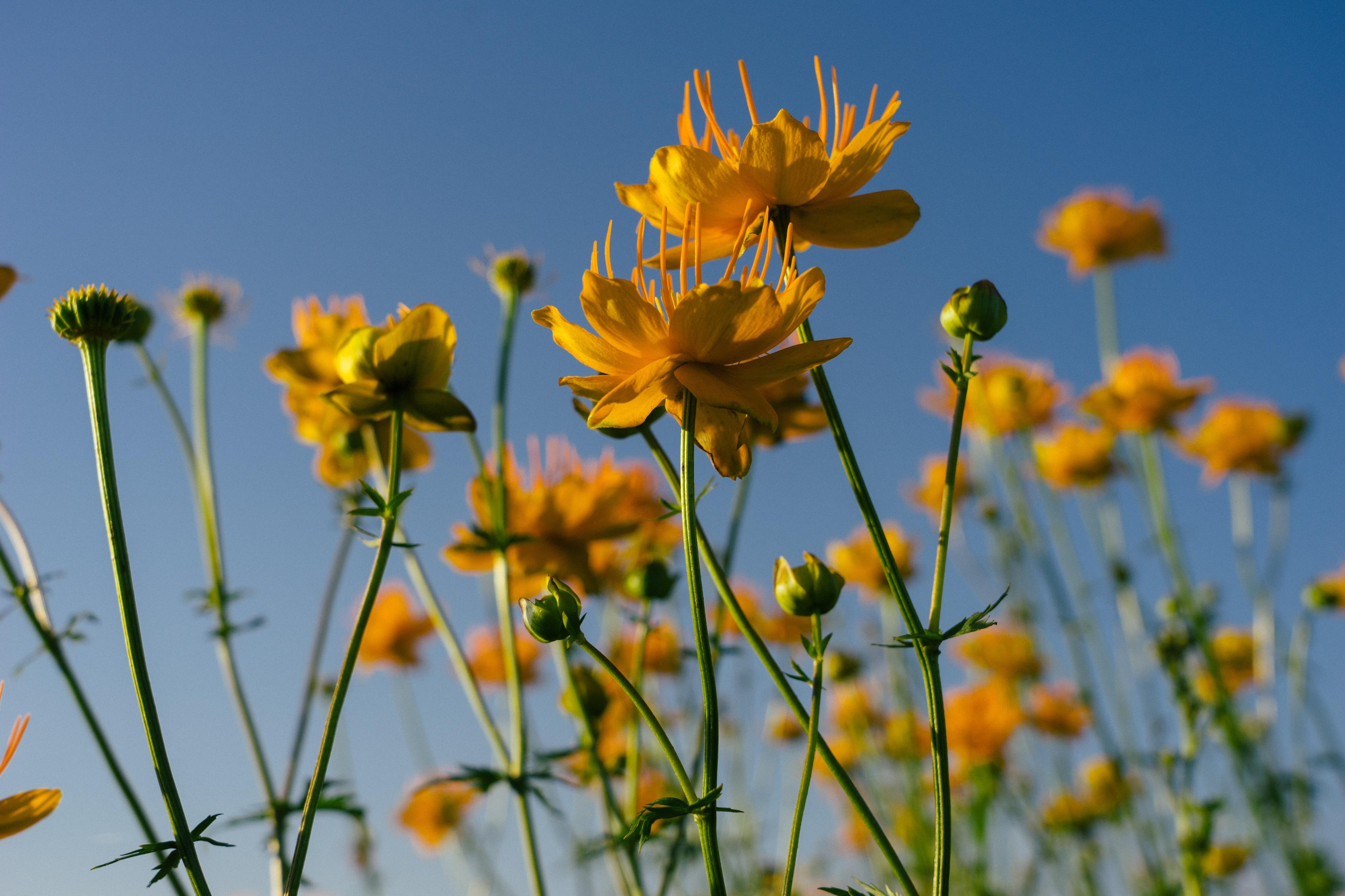 GPU计算加速01 : AI时代人人都应该了解的GPU知识 - 知乎