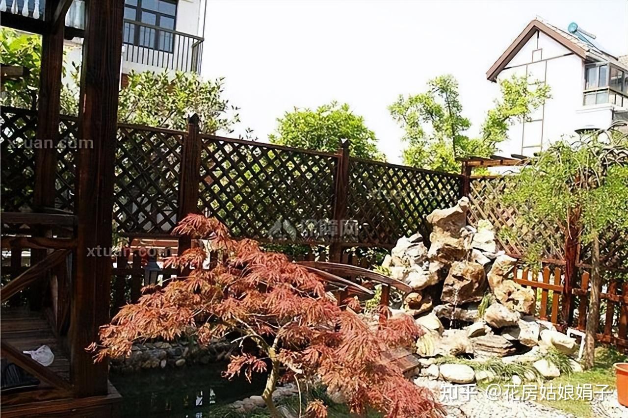 家有小院,一定要种棵树,适合种在院子里的5种树,选一棵种上吧 - 知乎