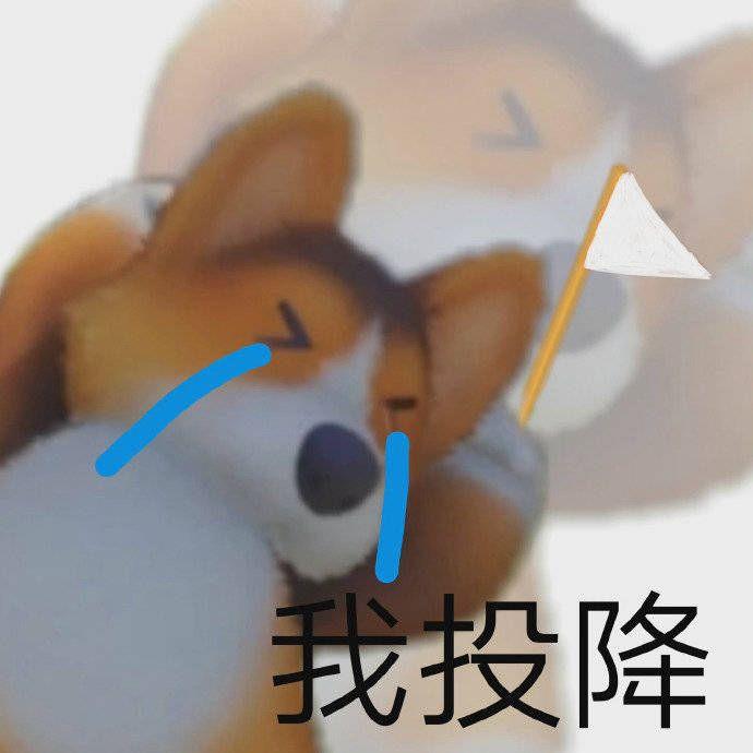 跪求游戏《动物派对》表情包?