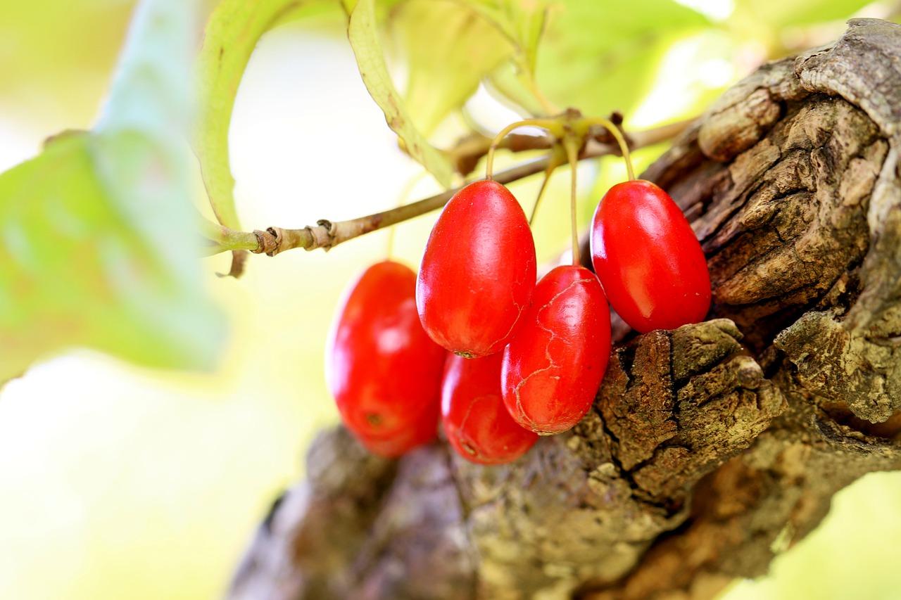 3. 橘子皮去鱼腥