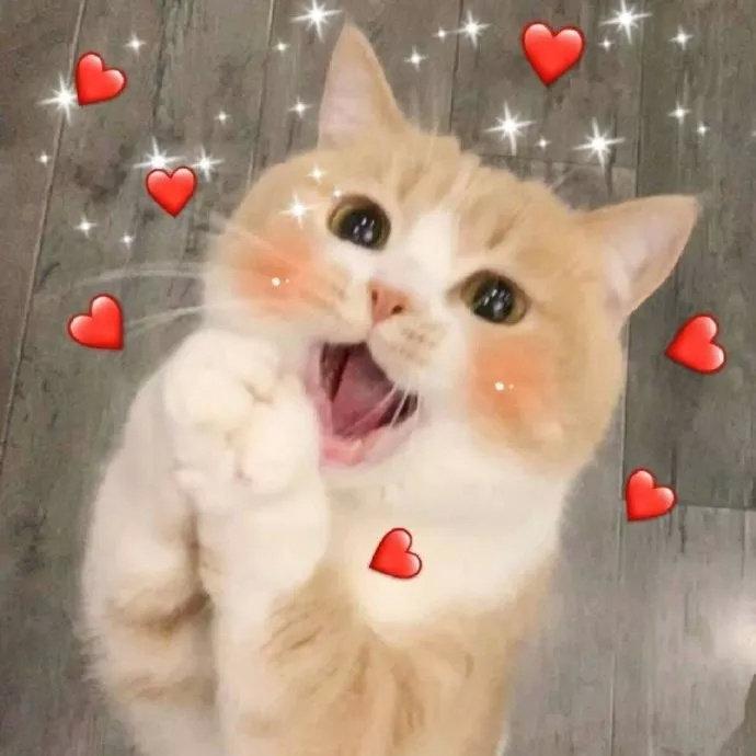 8月份还没找到工作的2020届毕业生到底该怎么办