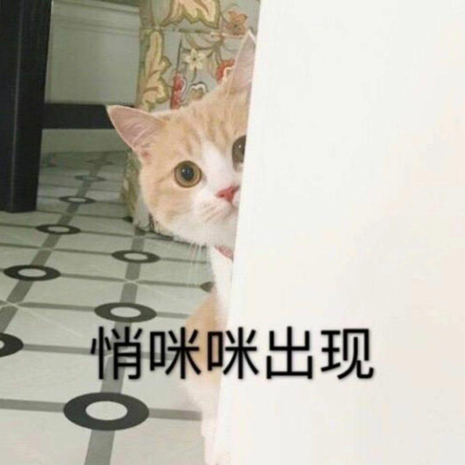 哪些表情包可以用来撩妹? - 知乎