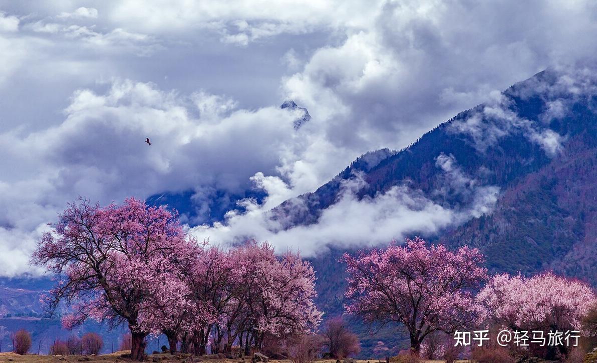 2021 年春天,有哪些旅游的好地方? - 知乎