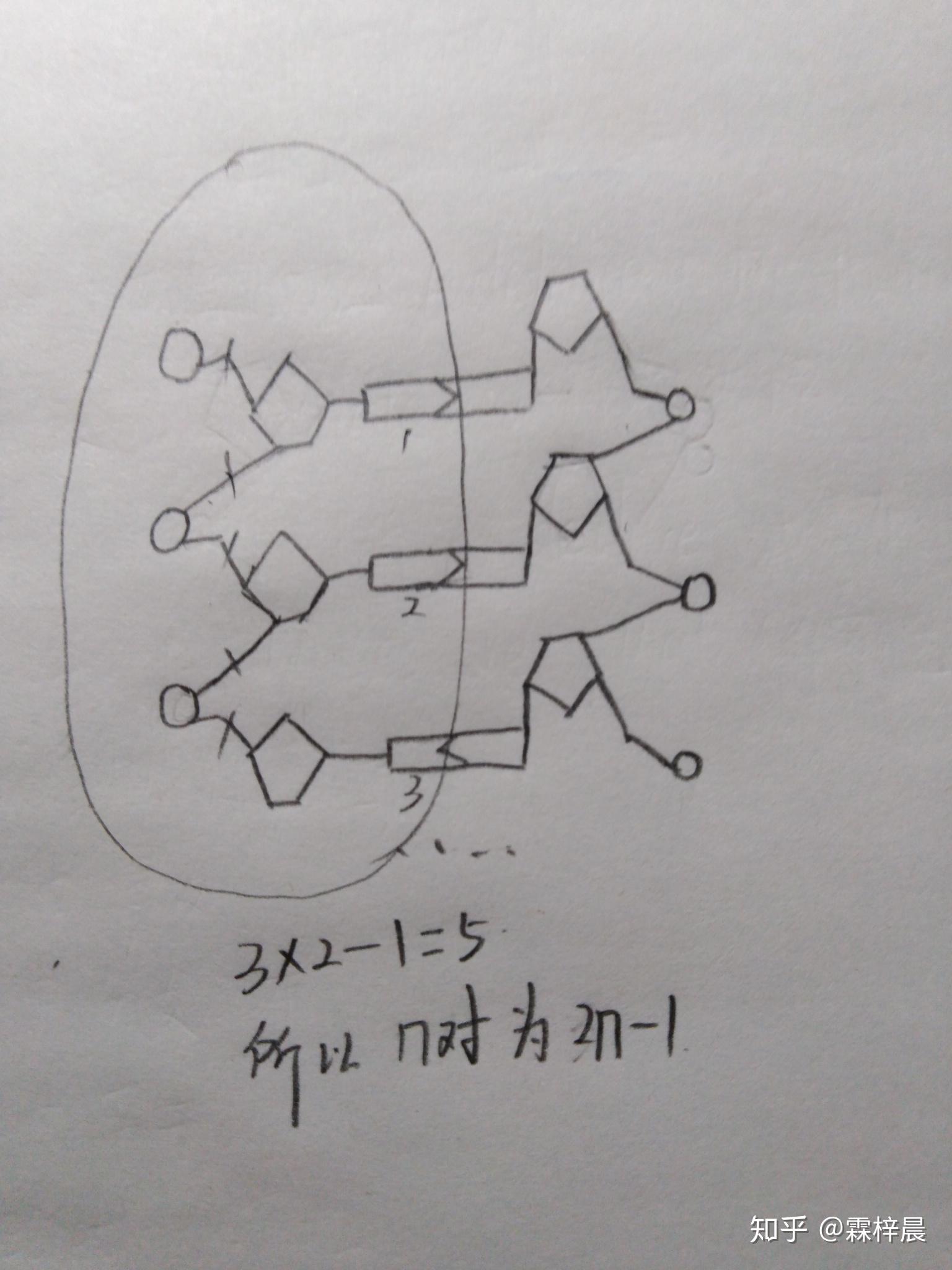 一条dna 单链所需要的磷酸二酯键为什么是 2n-1 个呢? - 知乎