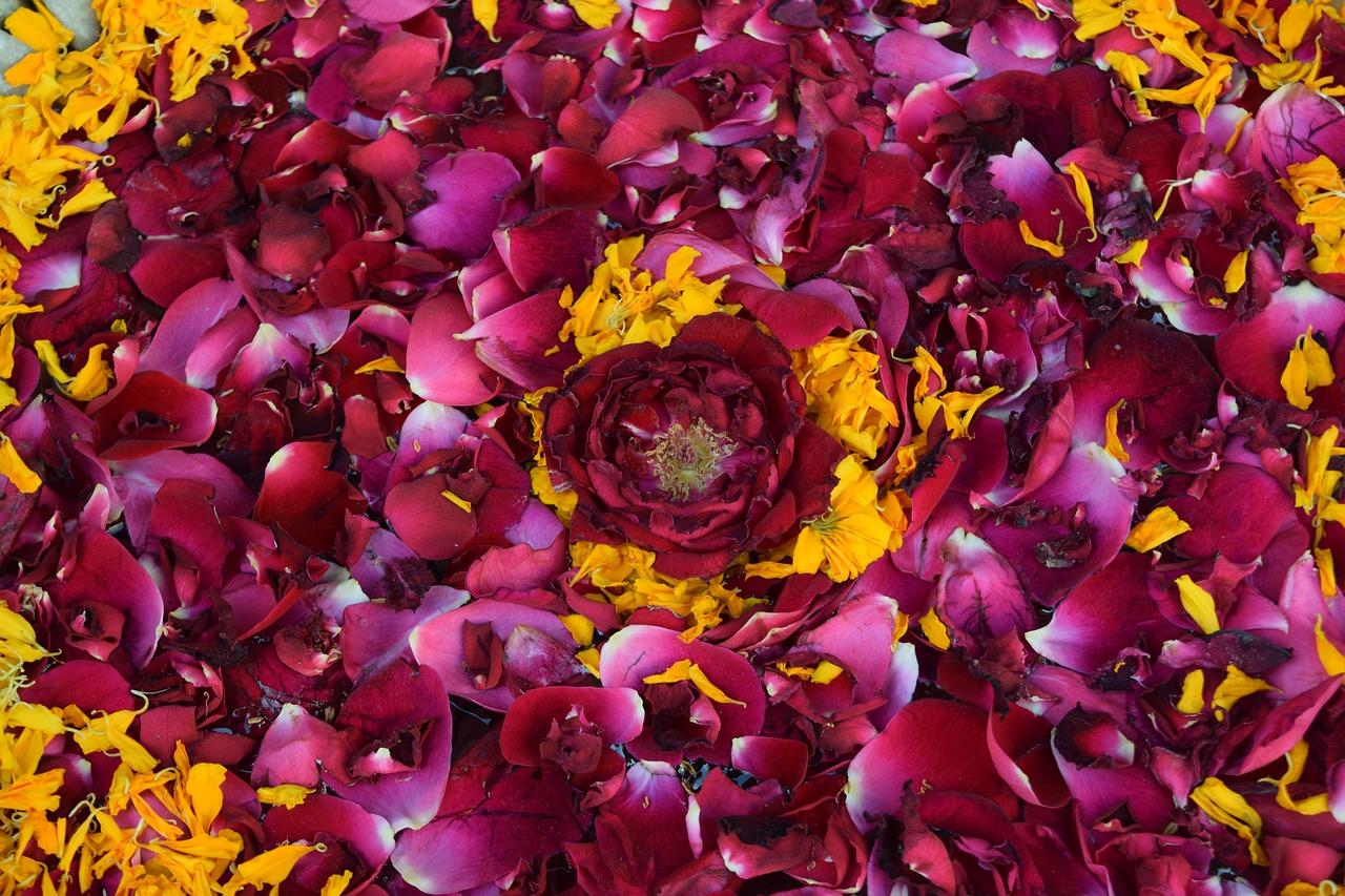 5. 气味芬芳宜人