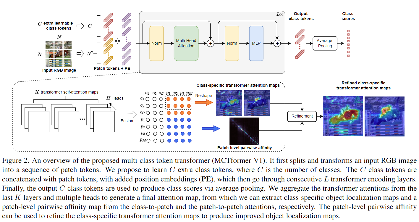 【论文阅读】《Multi-class Token Transformer for Weakly Supervised Semantic ...