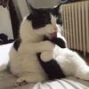 花吧啦