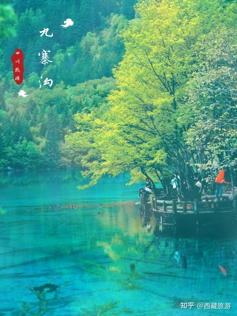 九寨沟一天不够玩？住九寨沟景区内一次性玩个够！ - 知乎